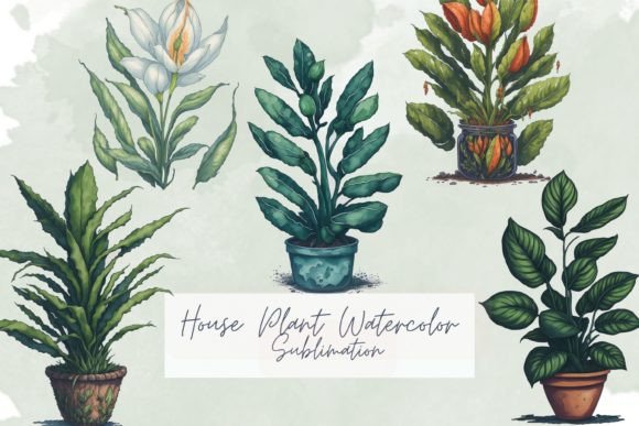 Download House Plant Watercolor Sublimation - House plant Collection